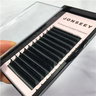 কাশ্মিরে ল্যাশ ট্রে